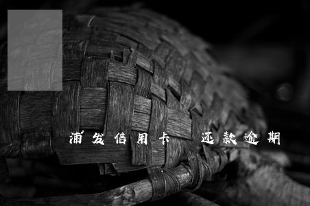 浦发信用卡 还款逾期 浦发信用卡 还款逾期